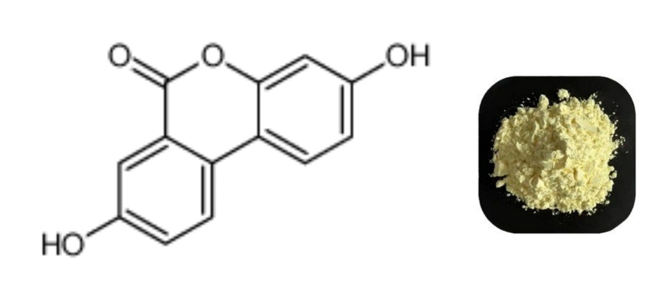 Source and structural characteristics of urolithin