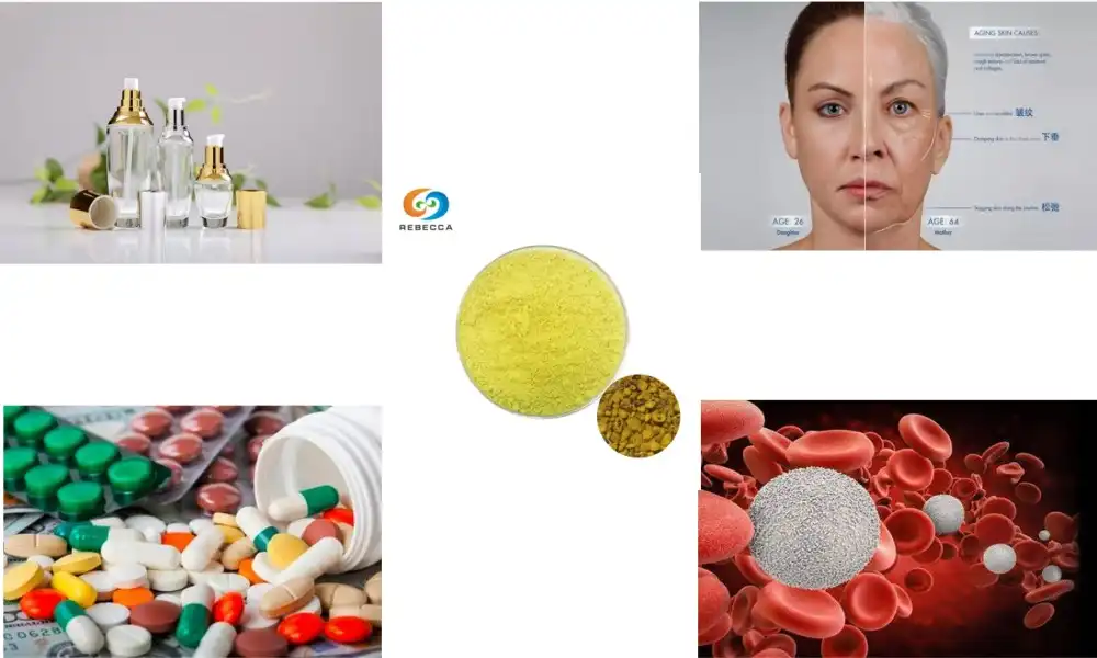 How Baicalein Strengthens Botanical Blends? How Baicalein Strengthens Botanical Blends?