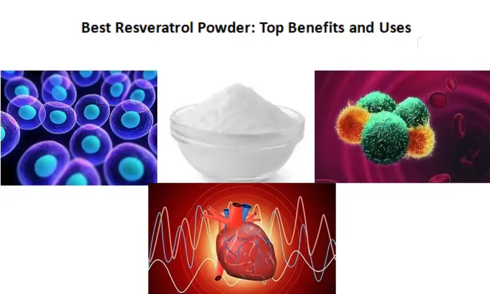 Best Resveratrol Powder: Top Benefits and Uses