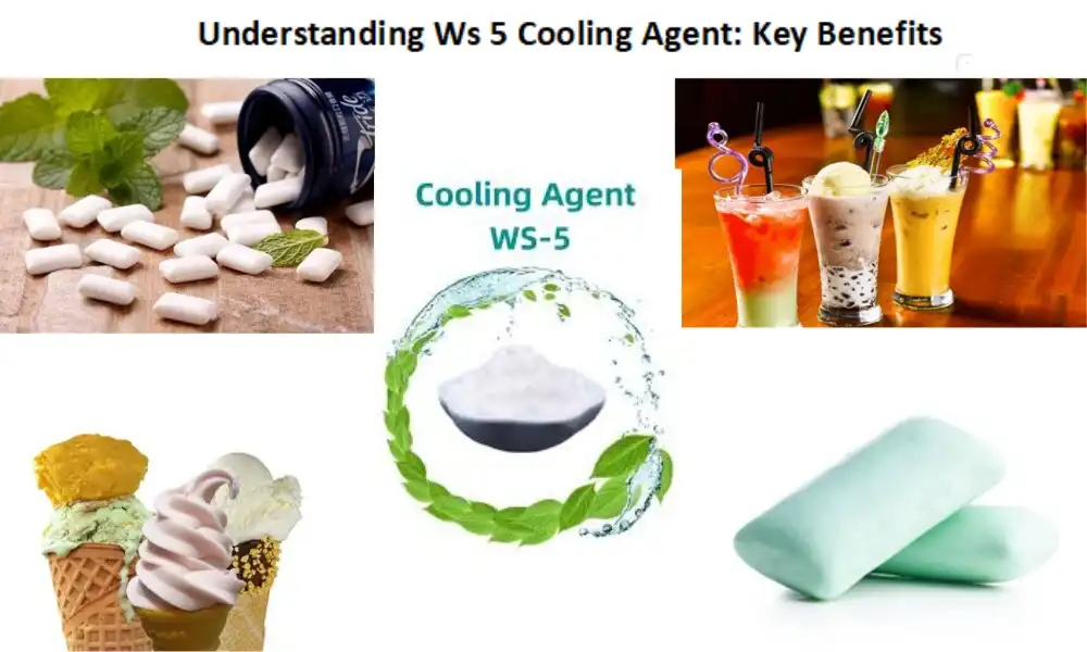 Understanding Ws 5 Cooling Agent: Key Benefits