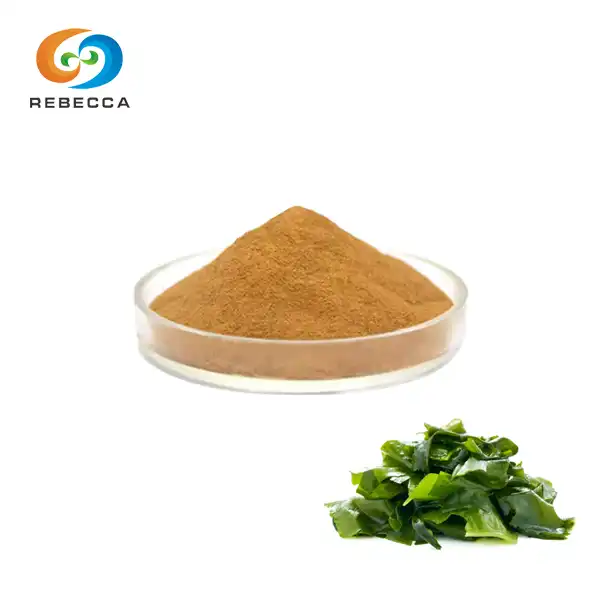 Best Fucoxanthin Powder